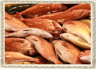 鮮魚