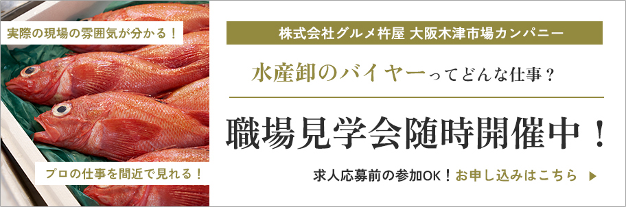 株式会社グルメ杵屋 大阪木津市場カンパニー 水産卸のバイヤーってどんな仕事？職場見学会随時開催中！求人応募前の参加OK！お申し込みはこちら