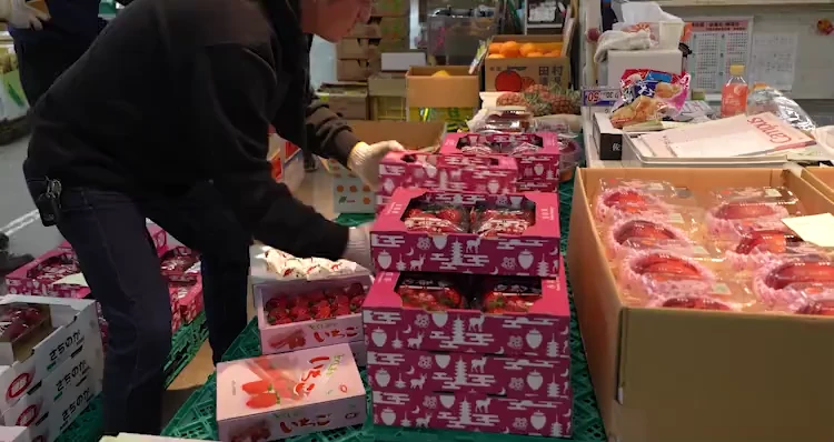 店舗マップ – 大阪木津卸売市場