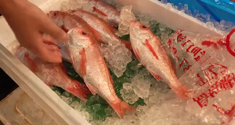 アクセス – 大阪木津卸売市場